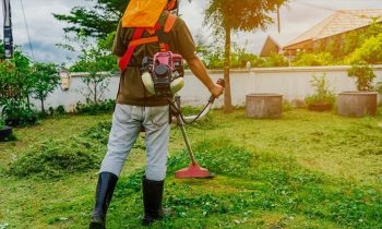 How to choose string trimmer